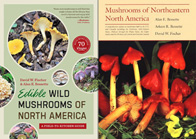 Edible Wild Mushrooms of North America