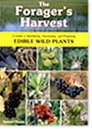 The Forager's Harvest