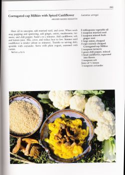 pages 203